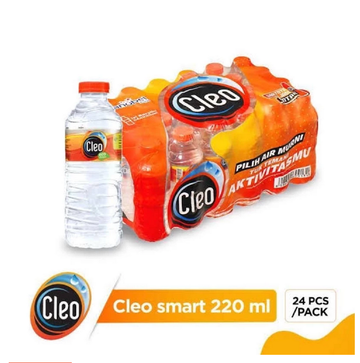 CLEO MINI 250 ML / BOX